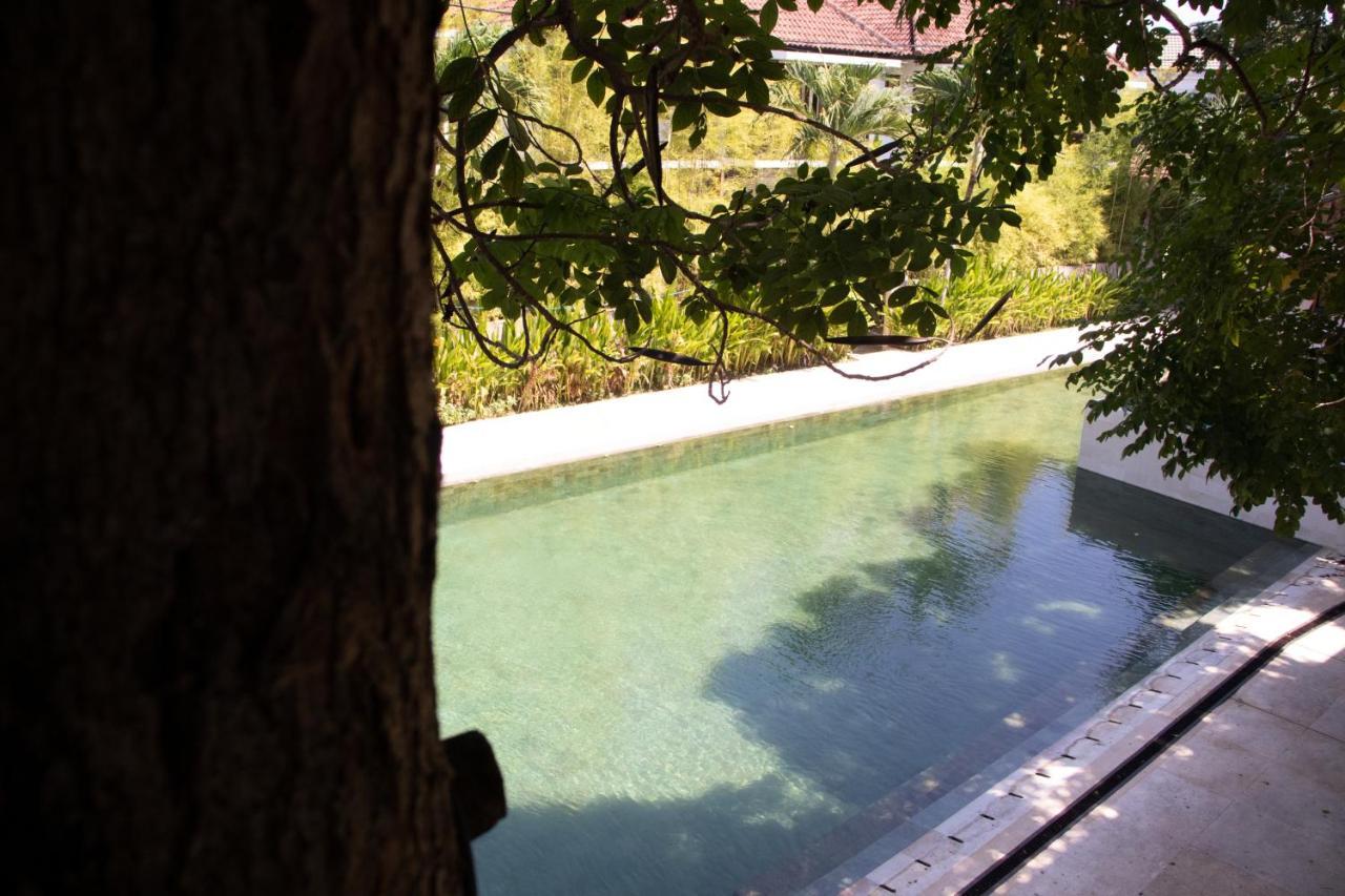 Sayang Sanur Duplex公寓 外观 照片